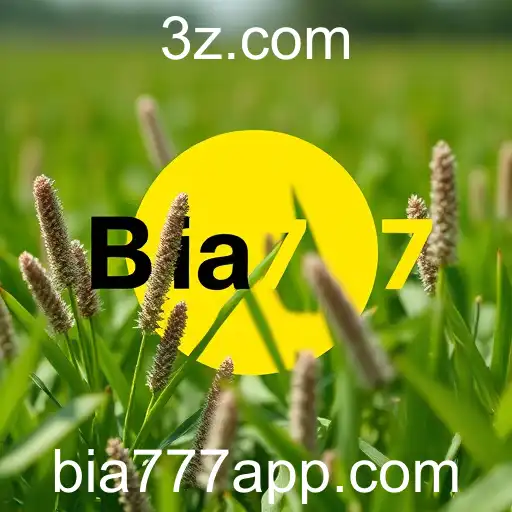 A Revolução dos Jogos Online com Bia777